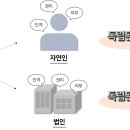 법인인간과자연