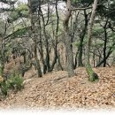 세븐일레븐동화마을 이미지