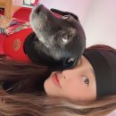 기쁨이네 민박 | [영흥도] 회먹자회센터 (대부도 회센터) &amp; 기쁨이네 민박 (영흥도 애견 펜션 / 영흥도 독채 펜션)