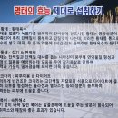 명태본가 이미지