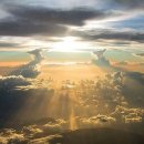 곰비님비 이미지