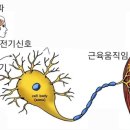 비엠헬스케어 이미지