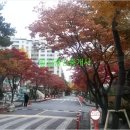 중산정형외과의원 이미지