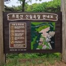 초록산 산림욕장 1 이미지