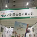 거창굼벵이곤충교육농장