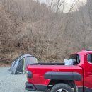 비발디 캠핑파크 | 홍천 가족캠핑 추천! 비발디캠핑파크 미루나무점 아기랑 다녀온 후기 + 애견동반 가능한 힐링 캠핑장