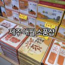 제주 애월 소품샵 한담몰 애월카페거리소품샵
