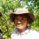 도담도담농장 이미지