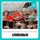 산에들에농장 이미지