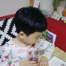 가평운악산포도과즙음료영농조합