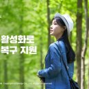 강릉청과