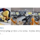 꿈에피트클럽 | 광주 용봉동 오치동 헬스 점핑 PT 함께한 후기들 가득~