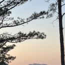 기찬자연휴양림 이미지