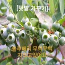 관상과 심상 이미지