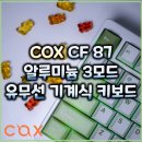 PET 66더3972 | 콕스 COX CF87 알루미늄 3모드 유무선 기계식 키보드 (말차크림티 &amp; HMX 오렌지) 상세 리뷰