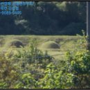 응암4리_마을회관 이미지