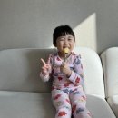태만농장 | 청송사과 추천 신이사과농원 시나노골드사과 가격 내돈내산 솔직후기