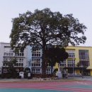 대구종로초등학교 이미지