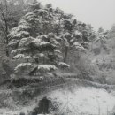 등고개농장 이미지