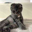 부영3차아파트 이미지