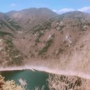 명품달인김밥(명지점) 네이버블로그