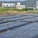 자라농장 이미지