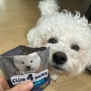 (주)캔소프트 | 드디어 찾았다! 영양+기호성까지 잡은 "가수분해 소프트 습식" 사료 : 클럽4포우즈 (노견사료추천)