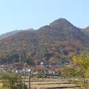 매봉민박 Daum카페