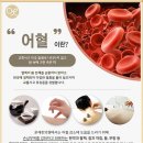 지장한의원 네이버블로그
