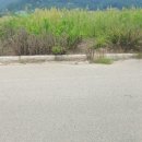 동읍스카이공인중개사사무소 이미지