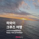 하와이 스타오브호놀룰루 디너크루즈 가성비 예약 방법과 실제 후기
