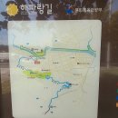 울산대교아래북측R | 제 27회 차 해파랑길(7코스)걷기