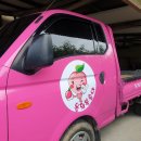 별빛농장 이미지