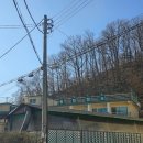 동림캠프 네이버블로그