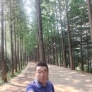 옹기골근린공원 Daum카페