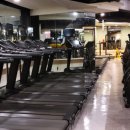 휘트니스 더 레이 이미지