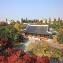 대구 경상감영지(大邱 慶尙監營址) | 조선 시대 경상도의 지방관청이 있었던「대구 경상감영지」 사적 지정
