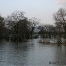 탑정호가 이미지