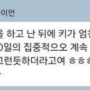 제일체육관(태권도) 이미지