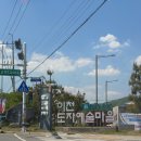 푸른마을 농수산 | 이천 도자기축제 도자기마을 그릇추천 구매후기(주차,애견동반 여부)