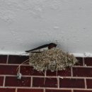 반월성 주유소 이미지