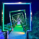 터널게이트(가) 이미지