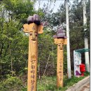서벽중학교 | [외씨버선길]9길 춘양목 솔향기길 2024.4.26