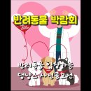 반려라이프 이미지