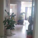 수레실약국 이미지