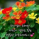 행복한 하루 이미지