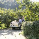 향단농장 이미지