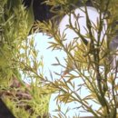 아늑한공간 | 신림에서 만난 아늑한 미용 공간 후기