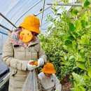 대운농장 이미지