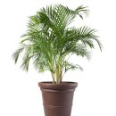 만능카인테리어 이미지